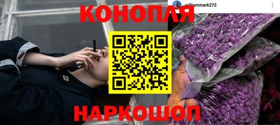 стафф Бугуруслан