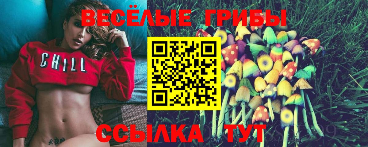 Псилоцибиновые грибы Magic Shrooms Тихвин
