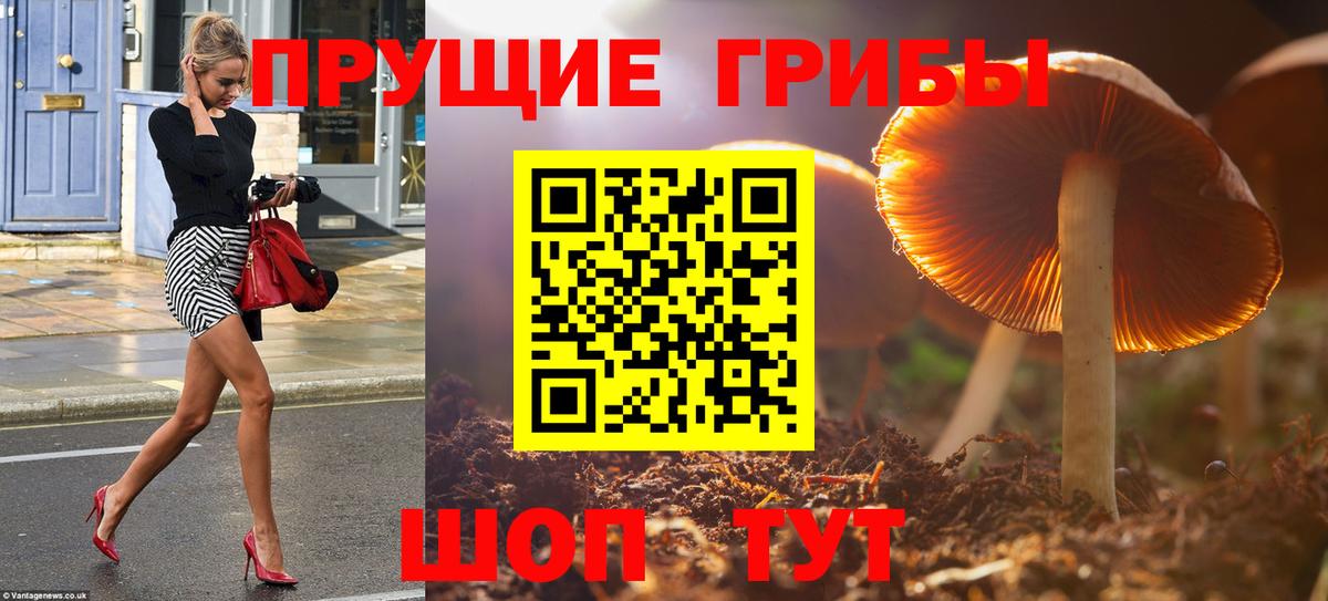 Тихвин  Галлюциногенные грибы GOLDEN TEACHER  Вход с VPN 